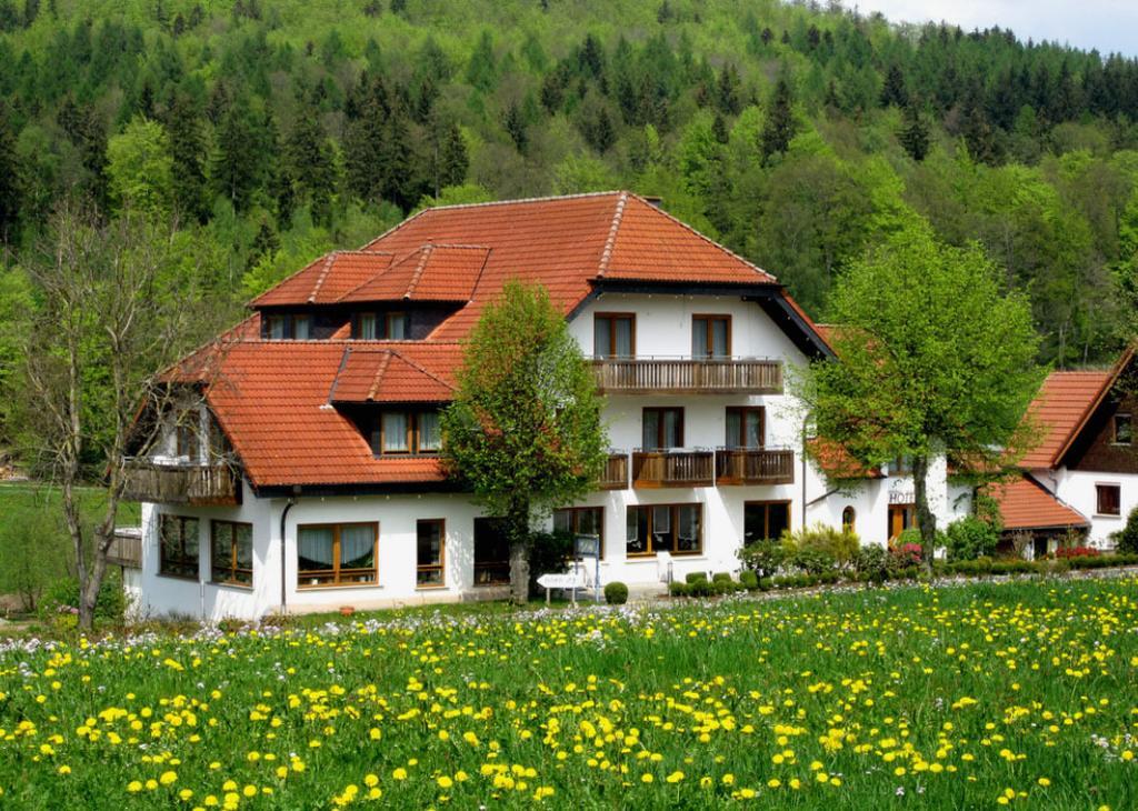 Rhoen-Hotel Sonnenhof - Restaurant & Cafe 포펜하우젠 외부 사진